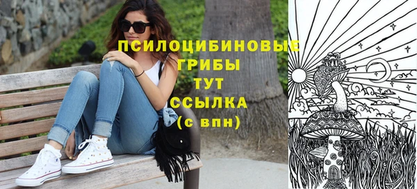 прущая мука Дмитров