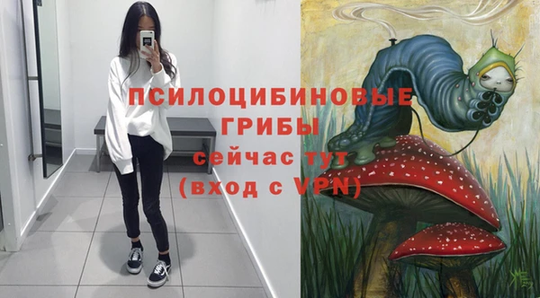 прущая мука Дмитров