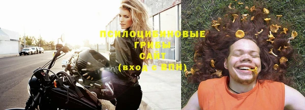 прущая мука Дмитров