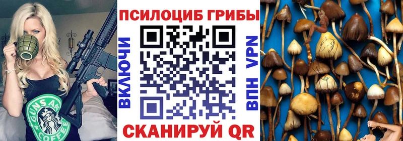 Галлюциногенные грибы Psilocybine cubensis Ермолино